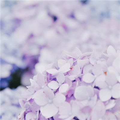 彩弹大作战无限金币版下载